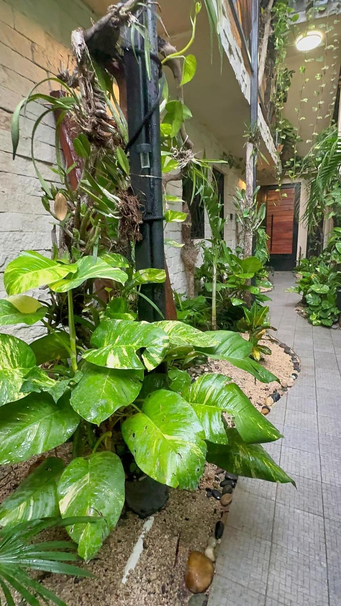 Bed and breakfast Kasa Nikte Tulum